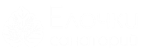 Санаторий Елочки 